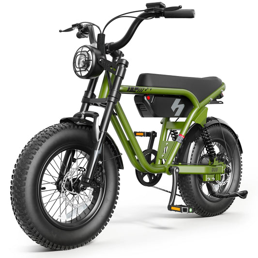 Hopepeak D10 All-Terrain Fat Tire Electric Bike | 1200W Peak Motor, 25 MPH, 48V 10.4Ah eBike