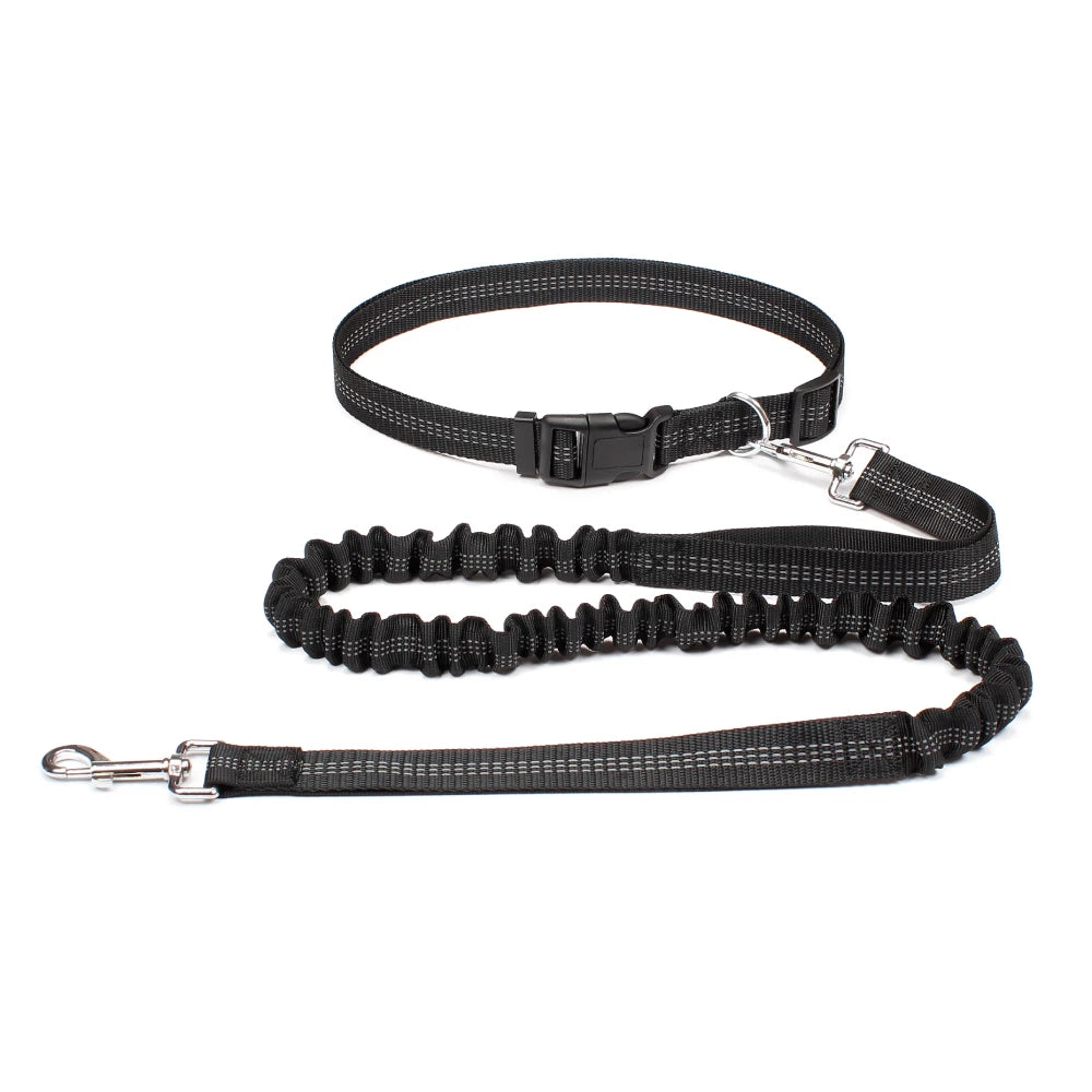 Hands-Free Running Dog Leash Waist Belt | Reflective Nylon Belt with Quick-Release Safety